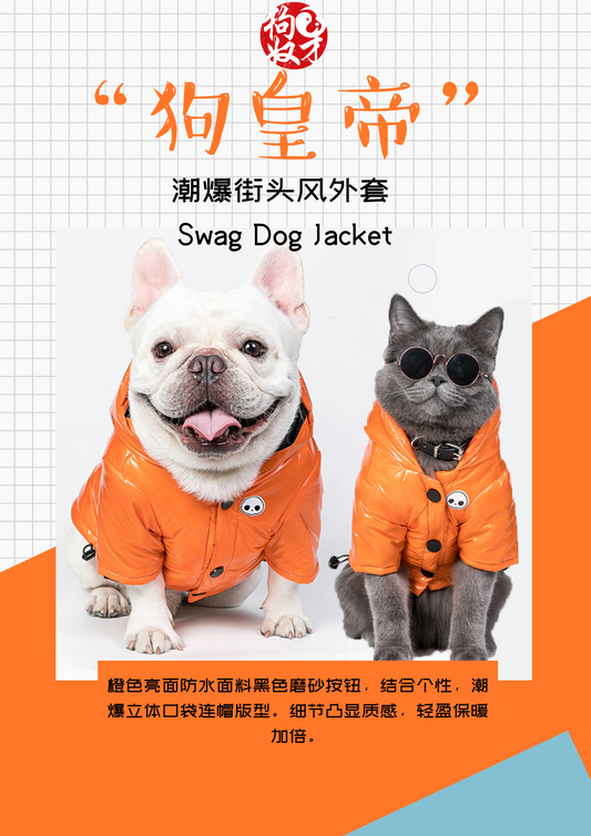 潮爆街头风外套  Swag Dog Jacket